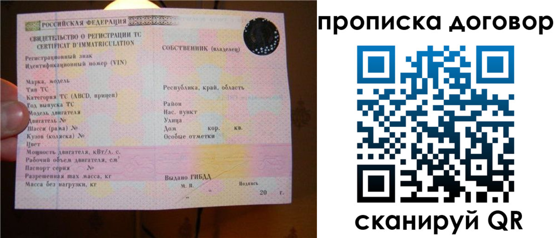 временная регистрация поиск в Елабуге